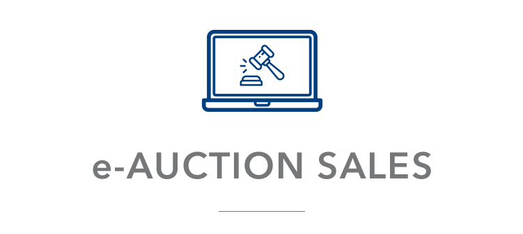 AUCTION SALE V01A